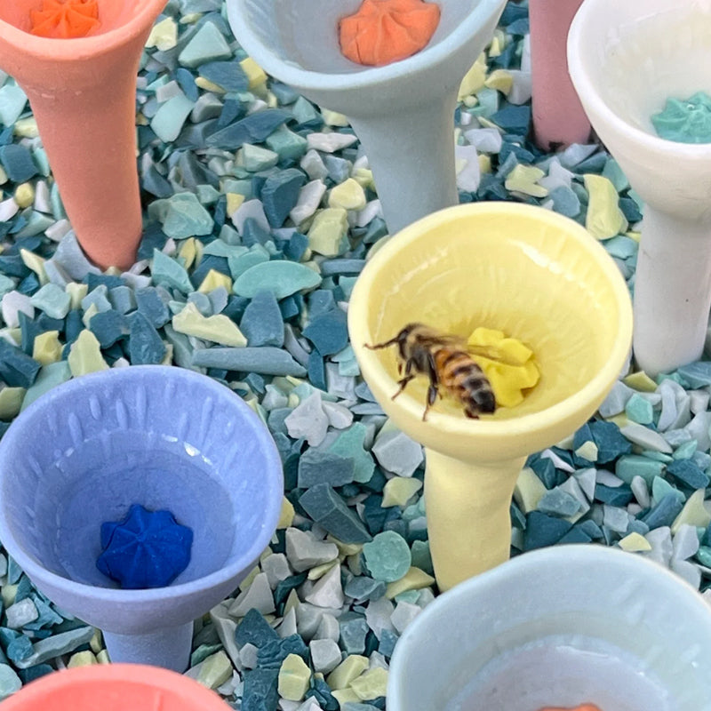 Hoffmarkt Blütenwasserbecher™