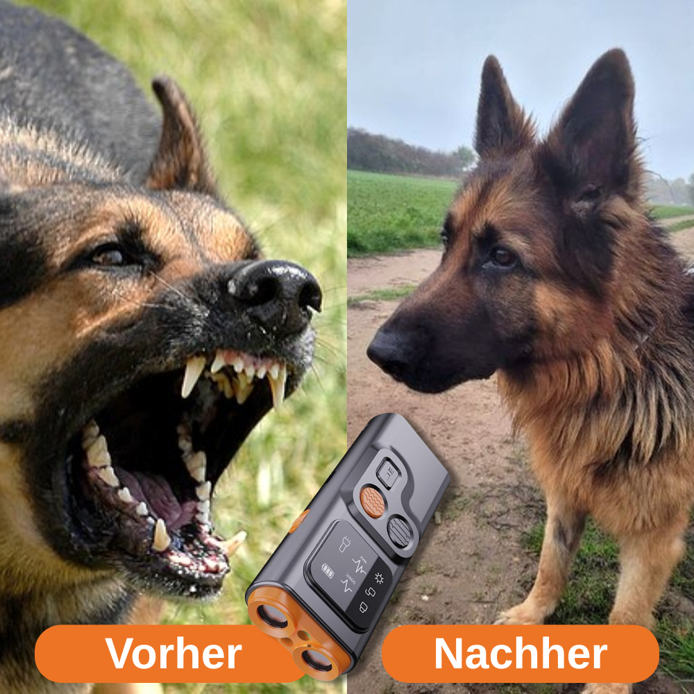 Hoffmarkt Barkify™ Hundetrainer